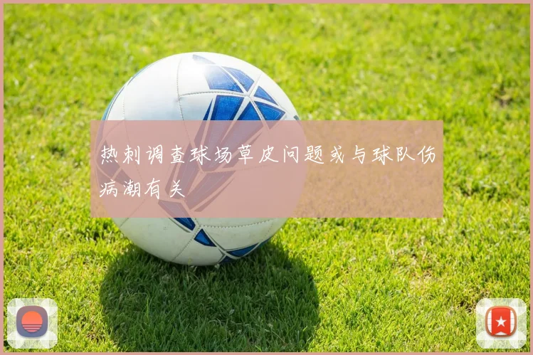 热刺调查球场草皮问题或与球队伤病潮有关